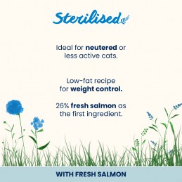 HOLISTIC FUNCTIONAL CAT...