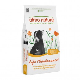 HOLISTIC MAINTENANCE - M...